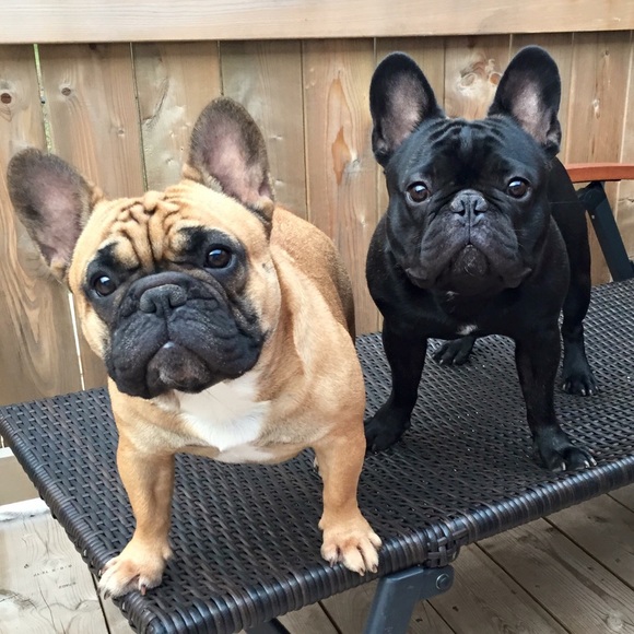 Meet your Posher, Stefanie - Picture 1 of 1